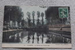 Cpa 1908, Auxerre, La Piscine De L'arbre Sec, Yonne 89 - Auxerre