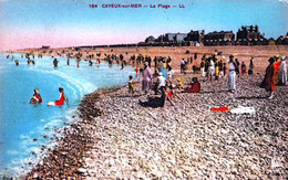 80 - Somme -  CAYEUX Sur MER - La Plage - Cayeux Sur Mer