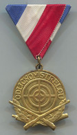ODLIČNOM STRELCU - War, Military, Shooting, JNA, Yugoslavia, Medal - Autres & Non Classés