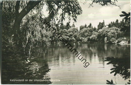 Karpfenteich An Der Lilienthal-Gedenkstätte - Foto-Ansichtskarte - Verlag Max O'Brien Berlin - Lichterfelde