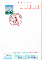 55476 - Japan - 1996 - ¥50 Sommergruss-GA-Kte. M. SoStpl. MIE OSUGITANI - 8. LEUCHTKAEFER-FESTIVAL - Otros & Sin Clasificación