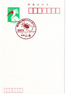 55481 - Japan - 2003 - ¥50 GA-Kte. M. SoStpl. SHIGA SANTO - 20. LEUCHTKAEFER-FESTIVAL - Sonstige & Ohne Zuordnung