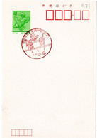 55483 - Japan - 1992 - ¥41 GA-Kte. M. SoStpl. CHIBA YAMADA - LEUCHTKAEFER-FESTIVAL - Otros & Sin Clasificación