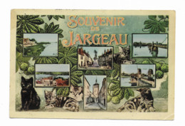 45  Loiret  :  Jargeau    Souvenir De Jargeau    Réf 8753 - Jargeau