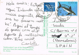 42731. Postal CINN MHARA CO NA GAILLIMHE, GALWAY (Irlanda) 1982. Vista Blasket Islands - Cartas & Documentos