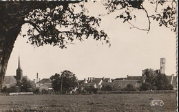 Environs De SANCOINS. - Vue Générale De Sagonne. CPSM RARE. - Sancoins