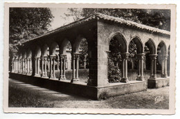 Delcampe - TARBES --Jardin Massey--Le Cloitre.................à Saisir - Tarbes