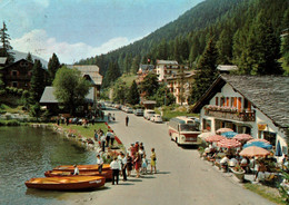 CPM - CHAMPEX - Station ... (Voitures Autocar) - Orsières