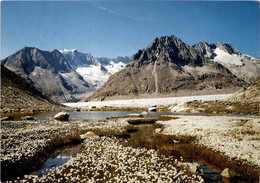 Märjelensee (Valais) (2935) * 13. 8. 1991 - Lens