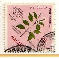 (208) Macau / Tropical Medicine / Plants / Flora  Oo / Used / Oblit.   Michel 415 - Autres & Non Classés