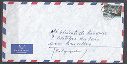 Ca0161  ZAIRE, Mobutu Speaking At UN  Stamp On Cover To Belgium - Usati