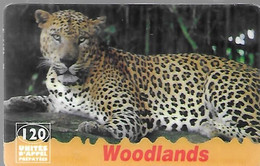 CARTE-PREPAYEE-120U-WOODLANDS-LEOPARD-31/12/1997-Plastic Epais Glacé-Gratté-TBE - Jungle
