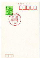 55718 - Japan - 1991 - ¥41 GA-Kte. M. SoStpl. TATSUNO - 43. LEUCHTKAEFER-FESTIVAL - Otros & Sin Clasificación