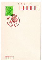 55719 - Japan - 1990 - ¥41 GA-Kte. M. SoStpl. TATSUNO - 42. LEUCHTKAEFER-FESTIVAL - Otros & Sin Clasificación