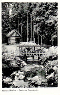 Altenau Oberharz - Partie Am Dammgraben - Old Postcard - 1959 - Germany - Used - Altenau