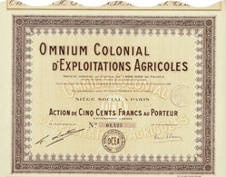 Titre Ancien - Omnium Colonial D'Exploitations Agricoles - Titre De 1926 - Afrika