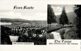 Harz Karte - Bad Sachsa - Die Tanne - Das Wahrzeichen Des Harzes - Old Postcard - Germany - Unused - Bad Sachsa