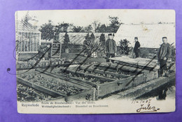 Ruiselede Tuinbouwschool Wedadigheidsschool Broeikassen 1907 - Paysans