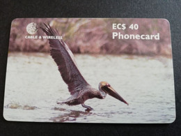 ANTIGUA  $40,- CHIPCARD  BROWN PELICAN AT MANGROVE SWAMP     Fine Used Card  ** 6622** - Antigua En Barbuda