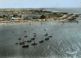 LA TARA EN LA PLAINE SUR MER LA FRANCE VUE DU CIEL VUE AERIENNE - La-Plaine-sur-Mer