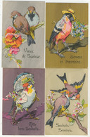 Souhaits - Oiseaux Colorés (4 Cartes) - Sonstige & Ohne Zuordnung