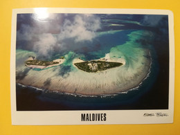 CARTOLINA POSTCARDS MALDIVE MALDIVES 2012 ATOLLO MALE ATOLL  BOLLO PESCI FISH OBLITERE' - Maldive