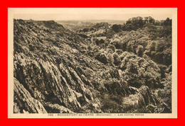 Rochefort En Terre , Roches Noires  ( Scan Recto Et Verso ) - Rochefort En Terre