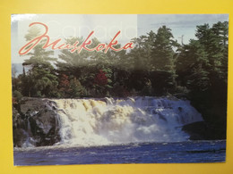 CARTOLINA POSTCARDS CANADA 2006 HIGH FALLS MUSKOKA ONTARIO BOLLO FIORI FLOWERS OBLITERE' - Muskoka