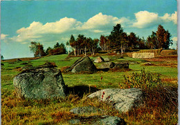 22625 - Niederösterreich - Gmünd , Naturpark , Blockheide Eibenstein  - Gelaufen 1975 - Gmünd