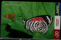 URUGUAY 2002 PHONECARDS BUTTERFLIES USED VF!! - Schmetterlinge