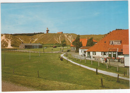 Vlieland - West-end Met Gezicht Op De Vuurtoren - (Wadden, Nederland/Holland) - Nr.  L 40 - Phare - Vlieland