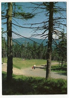 AK 017637 GERMANY - Harz - An Der Bundesstraße 4 Mit Blick Zum Rehberg - Oberharz