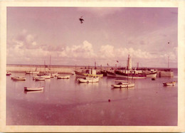 La Turballe * Photo Ancienne * Vue Sur Le Port * 1965 * Bâteaux Pêche - La Turballe