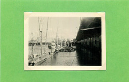 LORIENT (Morbihan) - Le Port , Thons Sur Le Quai (photo Années 50, Format 8,8 Cm X 6,4cm) - Luoghi