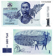 GEORGIA 1 Lari Banknote World Paper Money Currency Pick P53 1995 View Of Tblisi  - Stag Wild Animal - Georgië