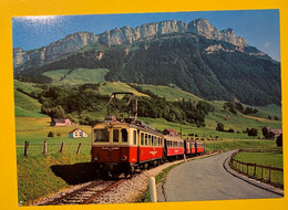 16384 - Appenzellerbahn - Trenes