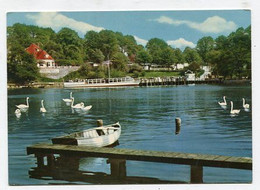 AK 017777 GERMANY - Malente-Gremsmühlen - Blick Zur Anlagestelle Der 5-Seen-Fahrt - Malente-Gremsmuehlen