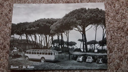 CPSM BUS CAR AUTO VOITURE BARATTI ITALIE LA PINETA PINEDE ED CANESSA - Bus & Autocars