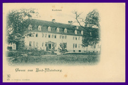 Gruss Aus BAD MEINBERG - Gruß - Kurhôtel - Edit. LEDERBOGEN N° 531 - Bad Meinberg