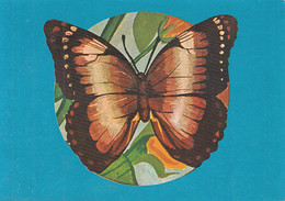 W0259- ACHILLES MORPHO, BUTTERFLIES, INSECTS, ANIMALS, UNUSED - Papillons