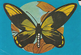 W0260- QUEEN VICTORIA'S BIRDWING, BUTTERFLIES, INSECTS, ANIMALS, UNUSED - Papillons