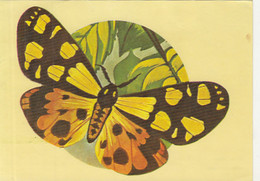 W0261-CREAM SPOT TIGER, BUTTERFLIES, INSECTS, ANIMALS, UNUSED - Papillons