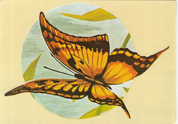 W0263- YELLOW GORGON, BUTTERFLIES, INSECTS, ANIMALS, UNUSED - Papillons