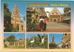 CPM  Munster - Munster