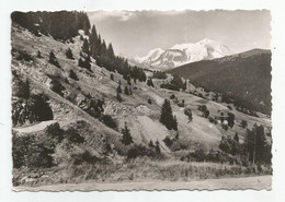 74 Haute Savoie Route Du Col Des Aravis Sur La Giettaz Et Le Tunnel Mont Blanc Ed Photo Morand Megeve - Chamonix-Mont-Blanc