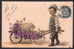 +++ CPA - Fantaisie - Enfant - Brouette - Fleur Pensée - Violette - Cochon - Pig - 1904   // - Cochons