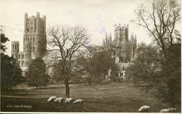 CAMBS - ELY - CATHEDRAL RP Ca375 - Ely