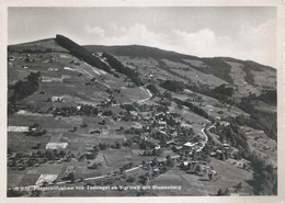 Tschingel Ob Sigriswil - Fliegeraufnahme Mit Blumenberg         1950 - Sigriswil