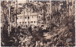 COTE D'IVOIRE - ABIDJAN - LA FORET DU BANCO - ECOLE FORESTIERE - Côte-d'Ivoire