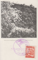 Carte  Maximum  AUTRICHE  Vue  De  LEOPOLDSBERG   Foire  Internationale  WIEN  1948 - Cartes-Maximum (CM)
